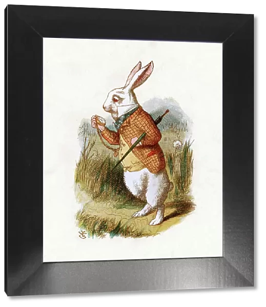 The White Rabbit - Alice in Wonderland