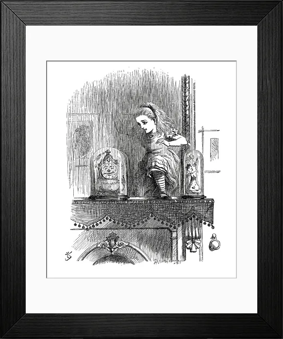 Framed Print : Alice through the looking glass Framed Print : Alice through the looking glass