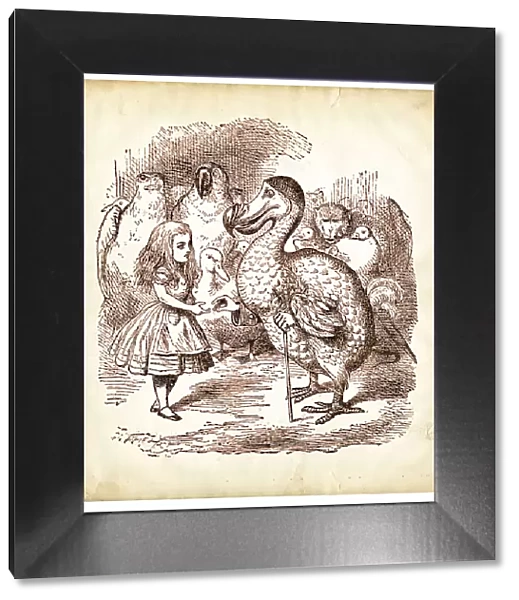 The Dodo and Alice in Wonderland