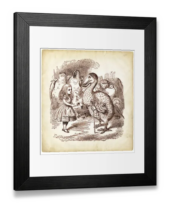 Framed Print : The Dodo and Alice in Wonderland Framed Print : The Dodo and Alice in Wonderland