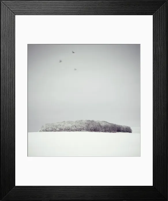 Framed Print : Three Birds and a Copse in the Snow Framed Print : Three Birds and a Copse in the Snow