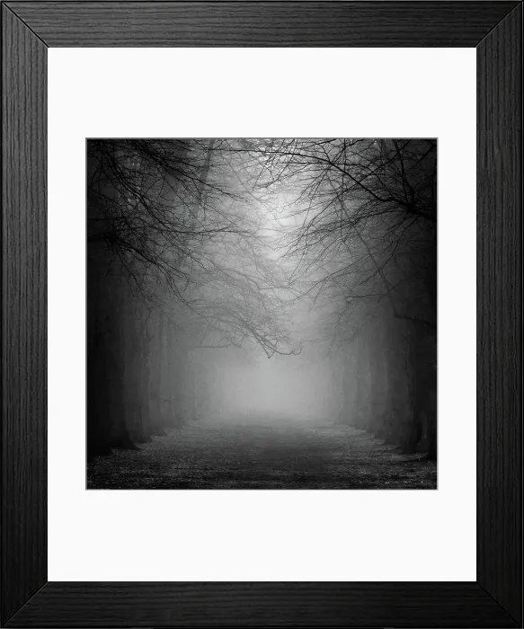 Framed Print : Avenue in mist Framed Print : Avenue in mist