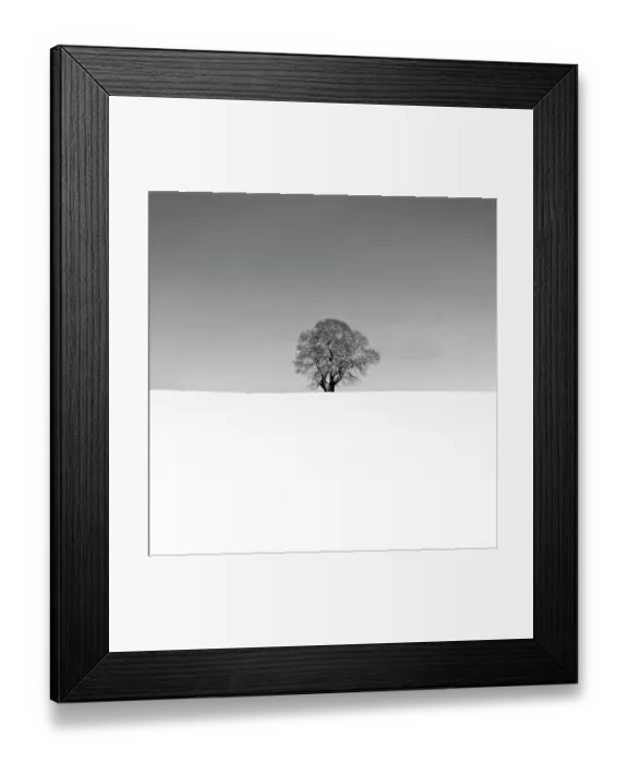 Framed Print : Lonely tree in snow Framed Print : Lonely tree in snow