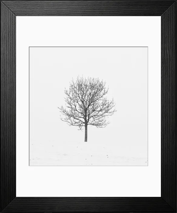Framed Print : Lonely tree in snow Framed Print : Lonely tree in snow