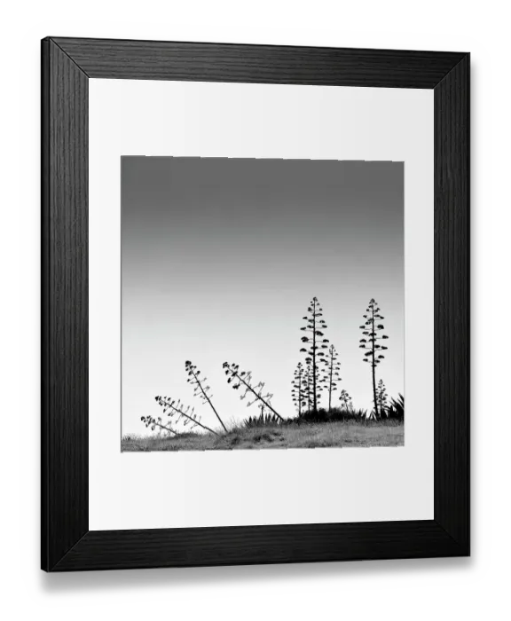 Framed Print : Desert, Almeria, Spain