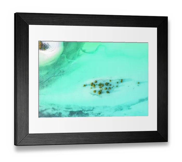 Framed Print : Tropical trees in the crystal turquoise sea, overhead view Framed Print : Tropical trees in the crystal turquoise sea, overhead view