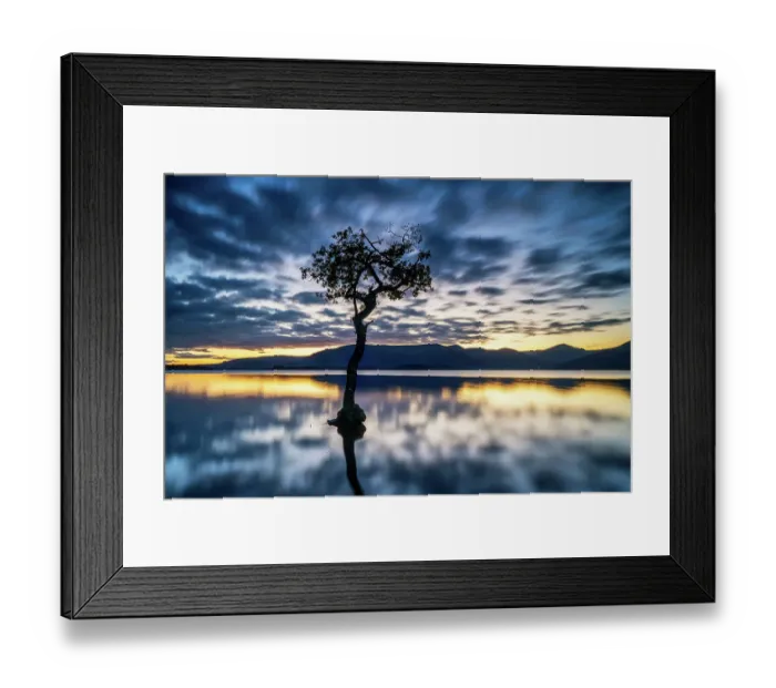 Framed Print : Loch Lomond Lone Tree Framed Print : Loch Lomond Lone Tree