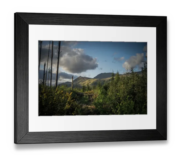 Framed Print : Near Cashel - Milarochy Bay on the banks of Loch Lomond Framed Print : Near Cashel - Milarochy Bay on the banks of Loch Lomond