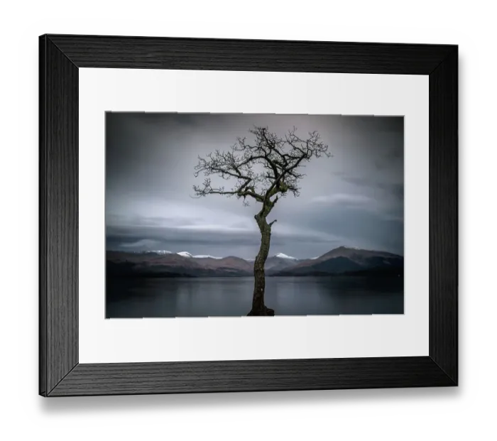Framed Print : Near Cashel - Milarochy Bay on the banks of Loch Lomond Framed Print : Near Cashel - Milarochy Bay on the banks of Loch Lomond
