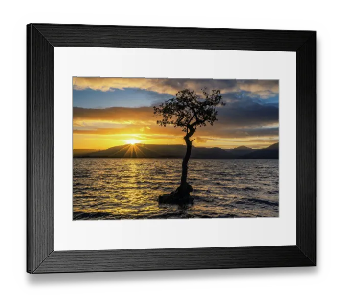 Framed Print : Lone or Lonely Tree, Loch Lomond, Scotland Framed Print : Lone or Lonely Tree, Loch Lomond, Scotland