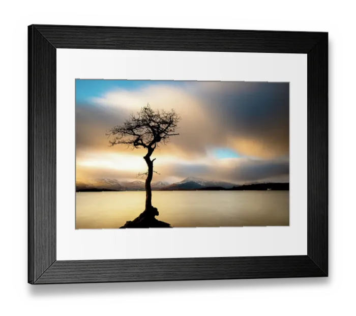Framed Print : That tree. A long exposure photograph of a lone tree on the eastern shores Framed Print : That tree. A long exposure photograph of a lone tree on the eastern shores