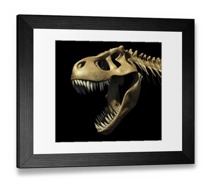 Framed Print : Tyrannosaurus rex skull, illustration Framed Print : Tyrannosaurus rex skull, illustration
