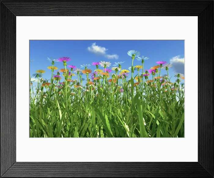 Framed Print : Wildflower meadow, artwork Framed Print : Wildflower meadow, artwork