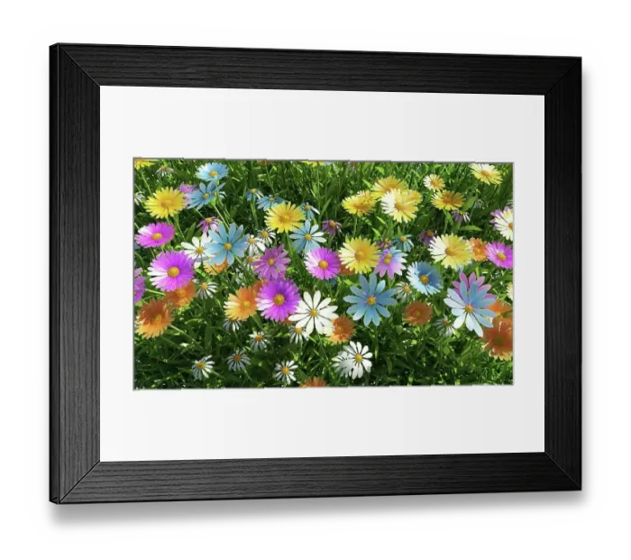 Framed Print : Wildflower meadow, artwork Framed Print : Wildflower meadow, artwork