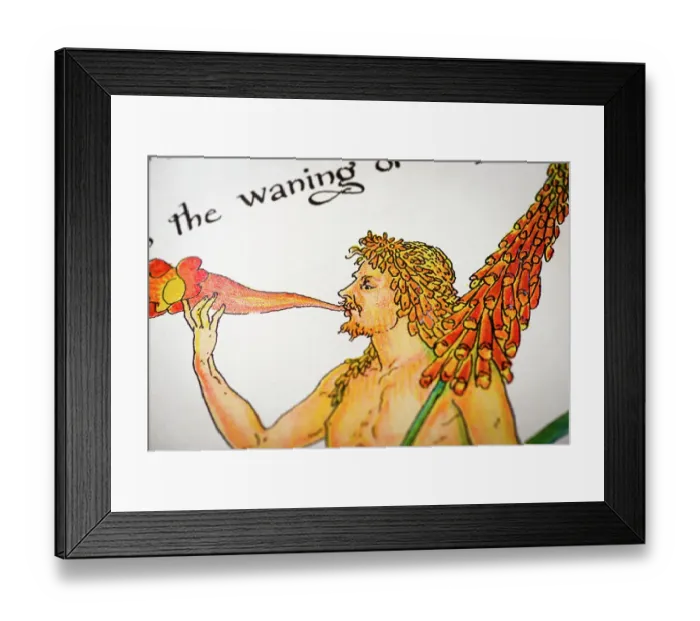 Framed Print : Antique illustration of humanized flowers and plants: Triton spear flower