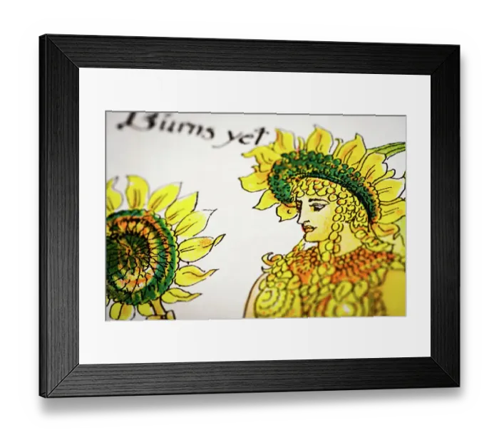 Framed Print : Antique illustration of humanized flowers and plants: Sunflower Framed Print : Antique illustration of humanized flowers and plants: Sunflower