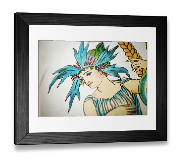 Framed Print : Antique illustration of humanized flowers and plants: Corn Marigold Framed Print : Antique illustration of humanized flowers and plants: Corn Marigold