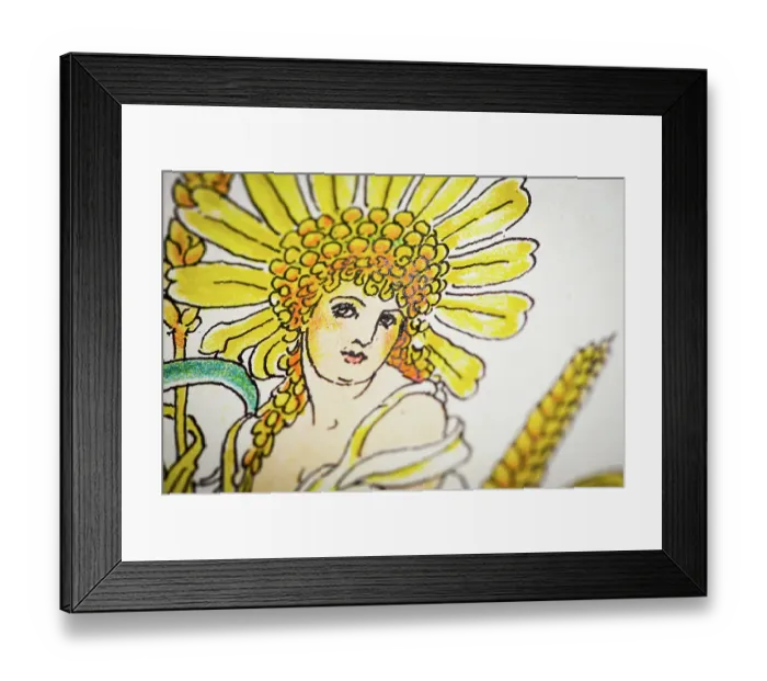 Framed Print : Antique illustration of humanized flowers and plants: Corn Marigold