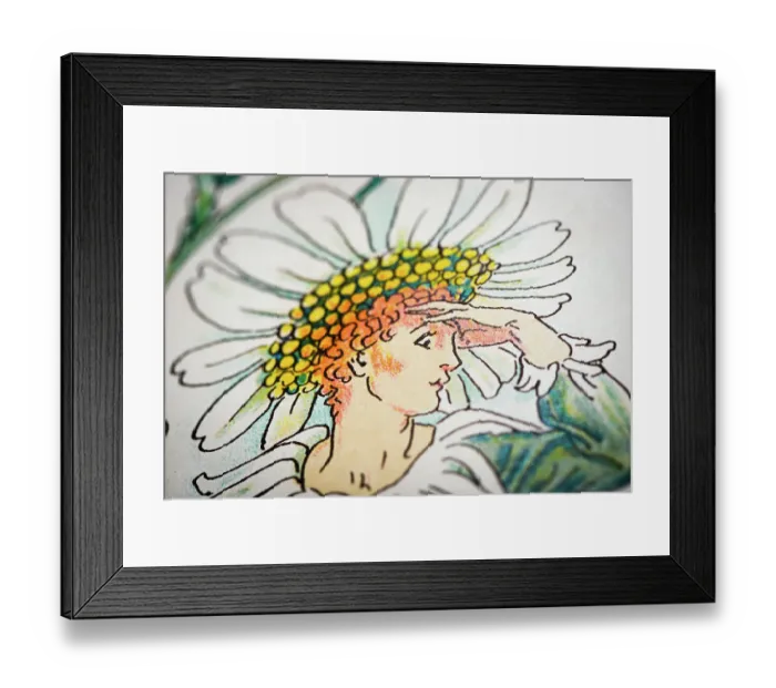 Framed Print : Antique illustration of humanized flowers and plants: Oxeye daisy Framed Print : Antique illustration of humanized flowers and plants: Oxeye daisy