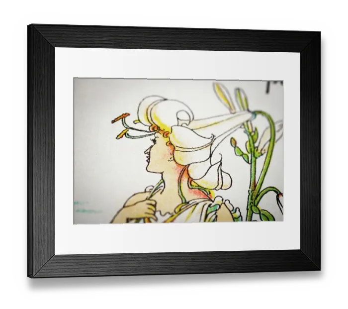 Framed Print : Antique illustration of humanized flowers and plants: Lilies Framed Print : Antique illustration of humanized flowers and plants: Lilies