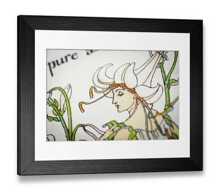 Framed Print : Antique illustration of humanized flowers and plants: Lilies Framed Print : Antique illustration of humanized flowers and plants: Lilies