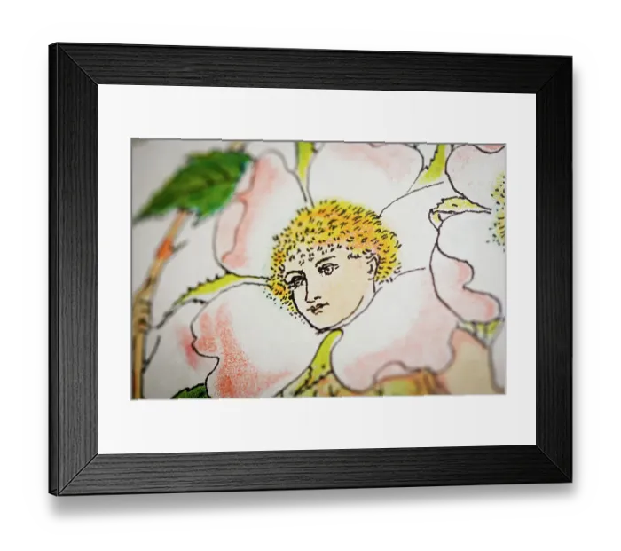 Framed Print : Antique illustration of humanized flowers and plants: Roses Framed Print : Antique illustration of humanized flowers and plants: Roses