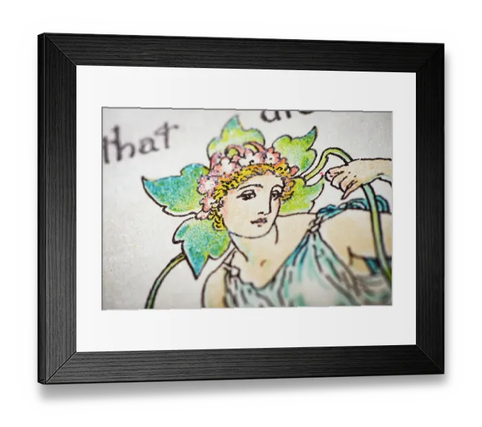 Framed Print : Antique illustration of humanized flowers and plants: Columbines Framed Print : Antique illustration of humanized flowers and plants: Columbines