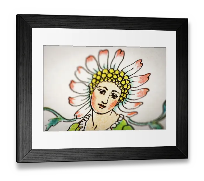 Framed Print : Antique illustration of humanized flowers and plants: Daisy Framed Print : Antique illustration of humanized flowers and plants: Daisy
