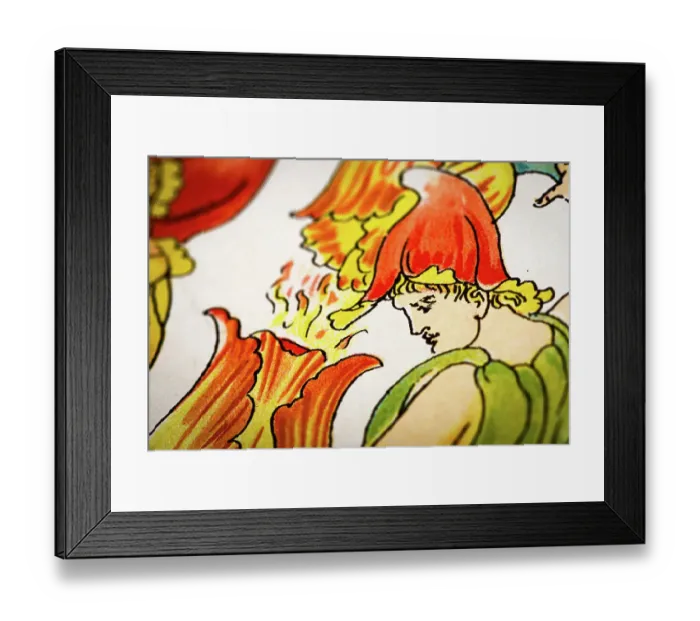 Framed Print : Antique illustration of humanized flowers and plants: Tulips Framed Print : Antique illustration of humanized flowers and plants: Tulips