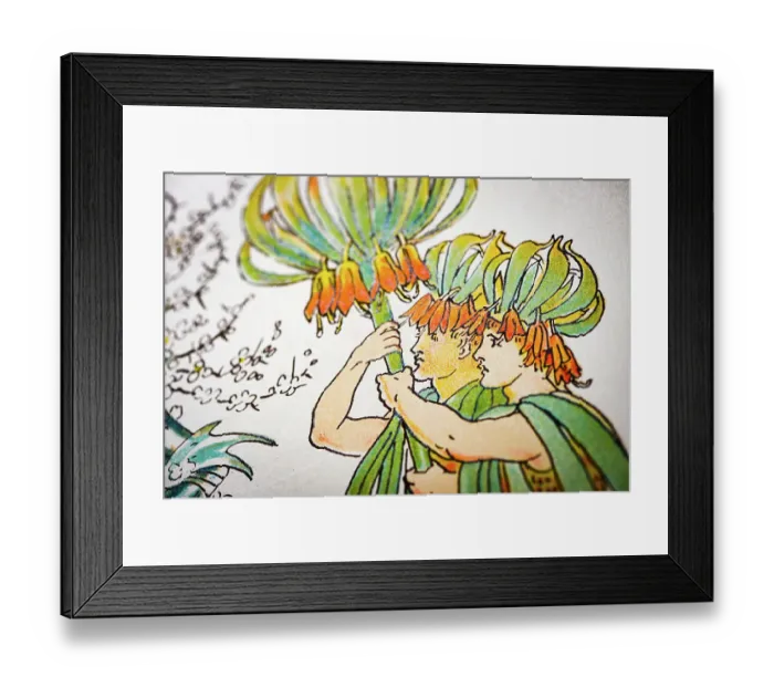 Framed Print : Antique illustration of humanized flowers and plants: Black knight Framed Print : Antique illustration of humanized flowers and plants: Black knight