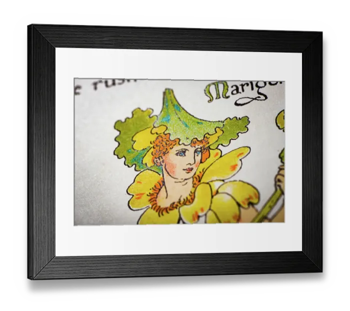 Framed Print : Antique illustration of humanized flowers and plants: Marsh Marigold Framed Print : Antique illustration of humanized flowers and plants: Marsh Marigold