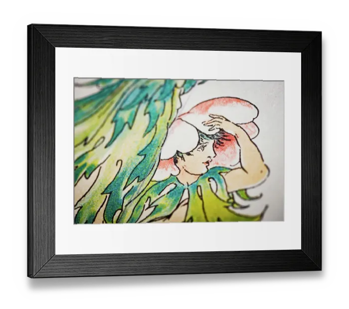 Framed Print : Antique illustration of humanized flowers and plants: Anemones Windflowers