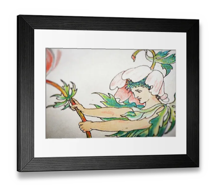 Framed Print : Antique illustration of humanized flowers and plants: Anemones Windflowers Framed Print : Antique illustration of humanized flowers and plants: Anemones Windflowers