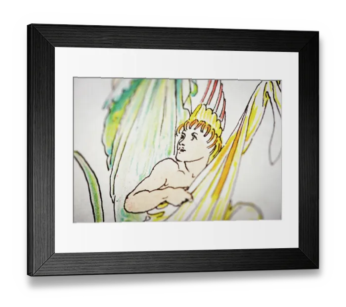 Framed Print : Antique illustration of humanized flowers and plants: Flowers waking up Framed Print : Antique illustration of humanized flowers and plants: Flowers waking up