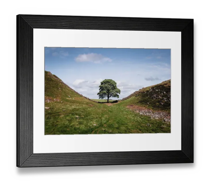 Framed Print : Sycamore Gap, Hadrians Wall, Northumberland, UK Framed Print : Sycamore Gap, Hadrians Wall, Northumberland, UK