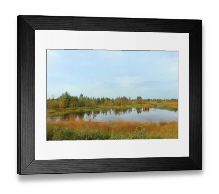 Framed Print : Rehdener Geestmoor, bog pond in autumn, Duemmer nature park Park, Lower Saxony, Germany Framed Print : Rehdener Geestmoor, bog pond in autumn, Duemmer nature park Park, Lower Saxony, Germany