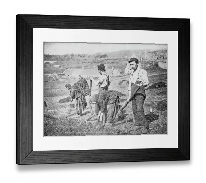 Framed Print : Antique photograph: Planting Potatoes in Skye Framed Print : Antique photograph: Planting Potatoes in Skye