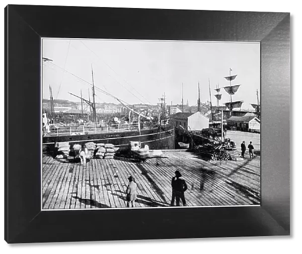 Antique photograph of World's famous sites: Harbour of Auckland, New Zealand