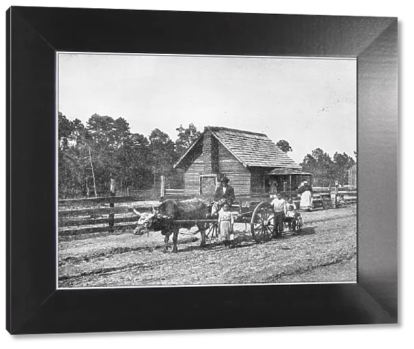 Antique photograph: Farm in south USA