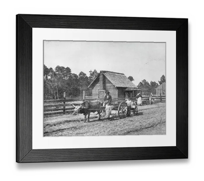 Framed Print : Antique photograph: Farm in south USA Framed Print : Antique photograph: Farm in south USA