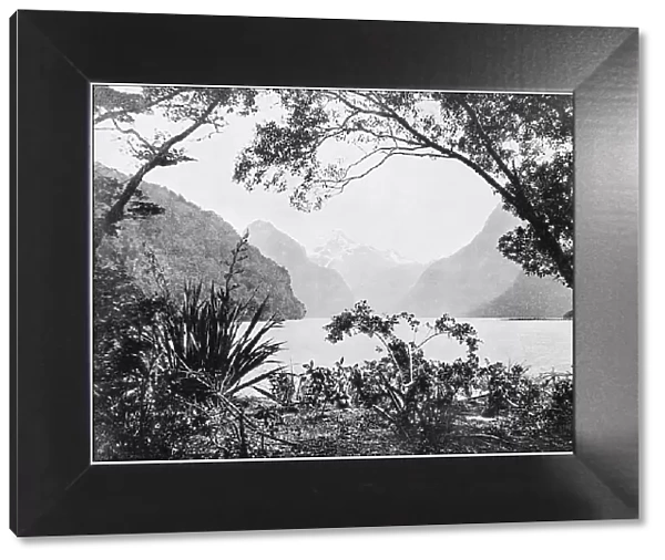 Antique photograph of World's famous sites: Milford Sound