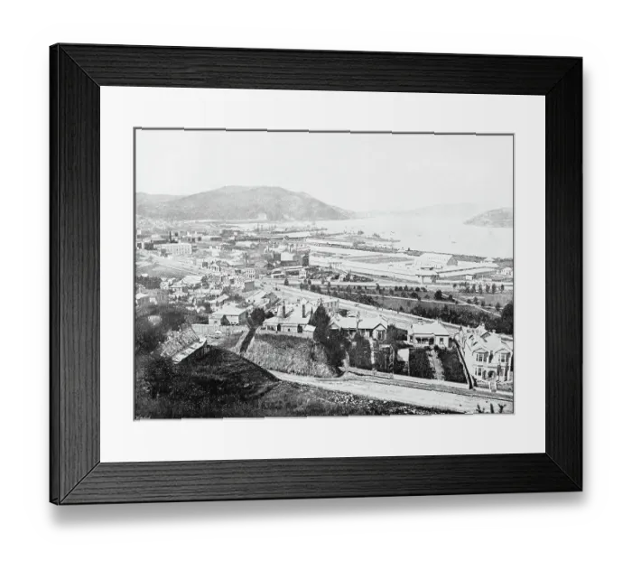 Framed Print : Antique photograph of World's famous sites: Dunedin