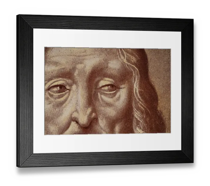 Framed Print : Vintage illustration detail of head of an old man, eyes, looking sideways, face, after a drawing by Leonardo da Vinci Framed Print : Vintage illustration detail of head of an old man, eyes, looking sideways, face, after a drawing by Leonardo da Vinci