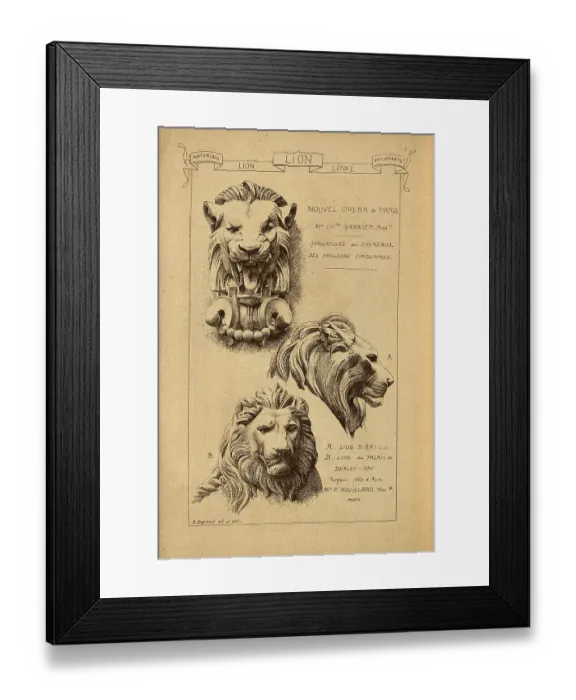 Framed Print : Architectural lion sculpture, History of architecture, decoration and design, art, Italian, Victorian, 19th Century Framed Print : Architectural lion sculpture, History of architecture, decoration and design, art, Italian, Victorian, 19th Century