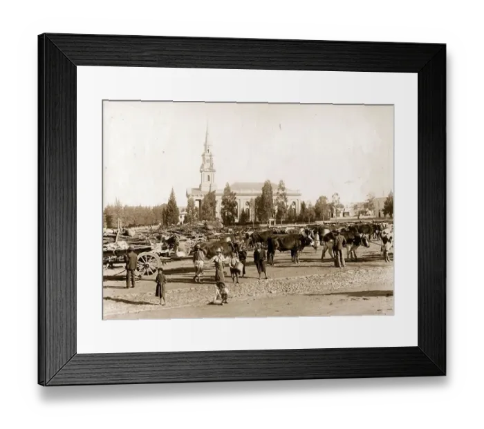 Framed Print : Market Square Framed Print : Market Square