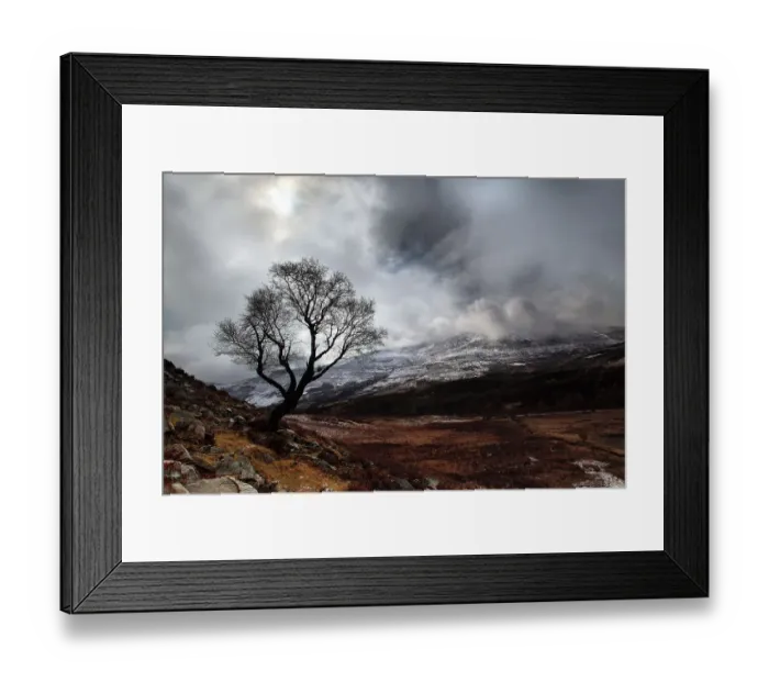 Framed Print : Schiehallion Mountain, Lone Tree Framed Print : Schiehallion Mountain, Lone Tree