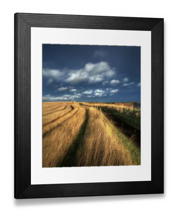 Framed Print : Clifftop path seaton sands angus scotland