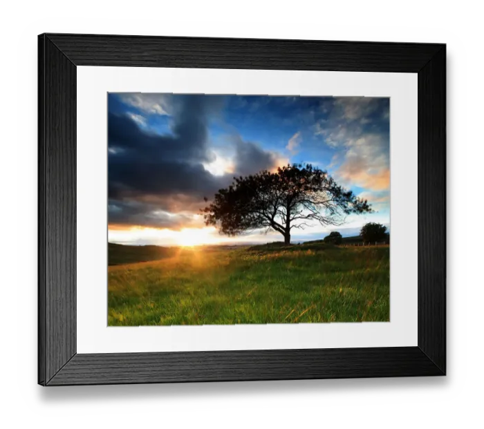Framed Print : Cherry tree grass field storm cloud sunset light Framed Print : Cherry tree grass field storm cloud sunset light