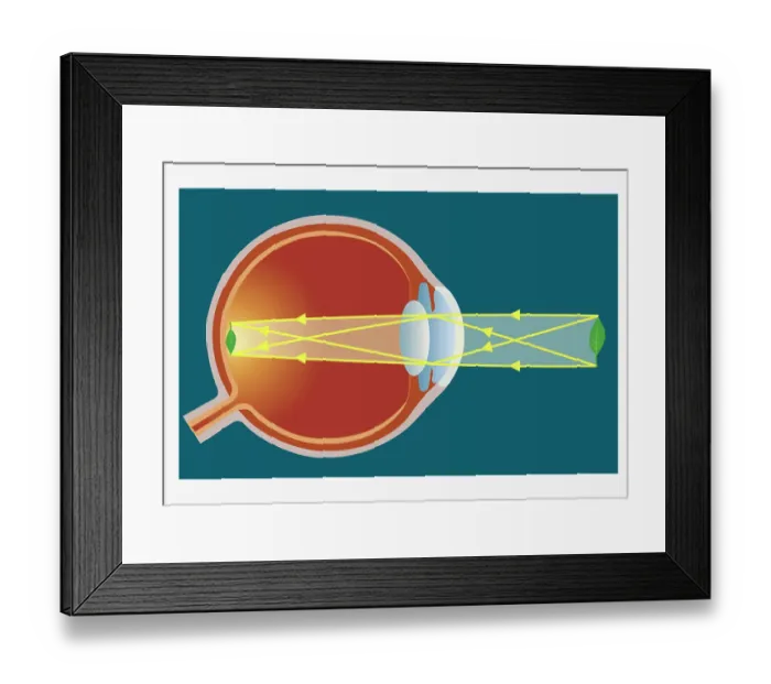 Framed Print : Digital illustration of human eye transforming images made from light into electrical impulses Framed Print : Digital illustration of human eye transforming images made from light into electrical impulses