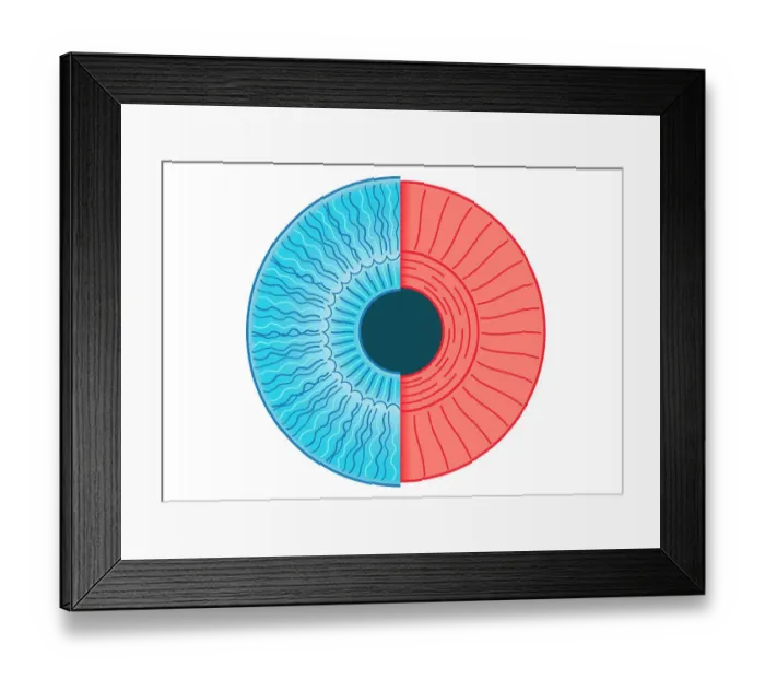 Framed Print : Digital illustration of constricted pupil of human eye Framed Print : Digital illustration of constricted pupil of human eye